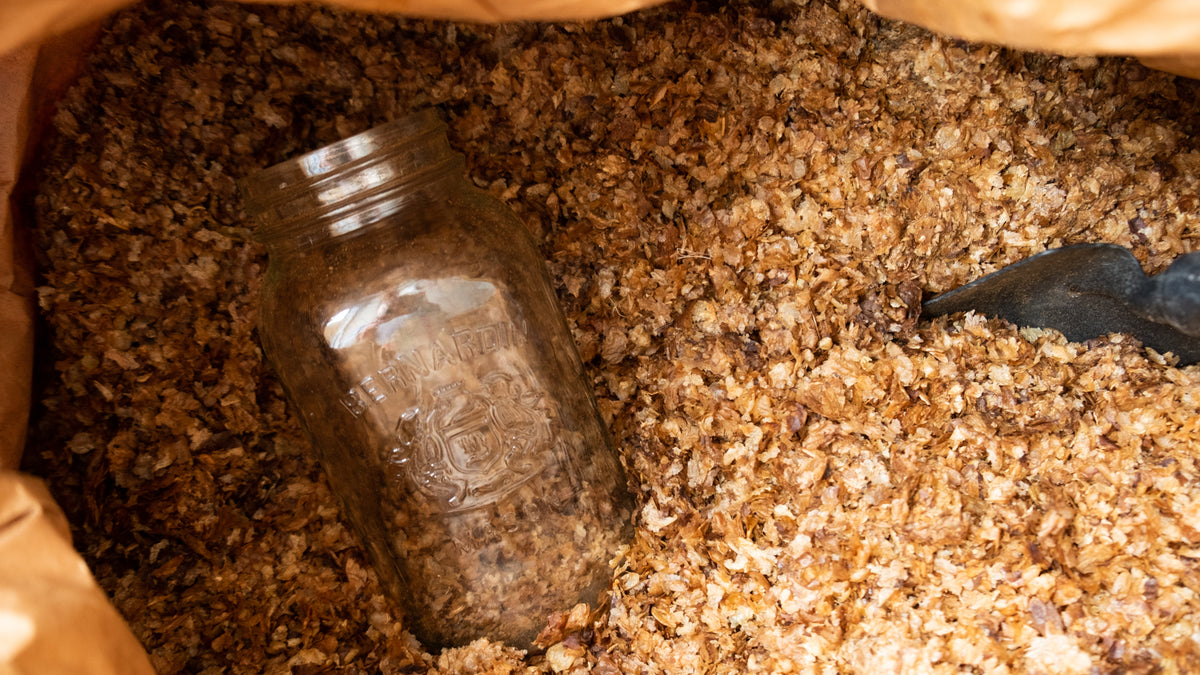 Repurposing Coffee Chaff in the Garden Detour Coffee Roasters