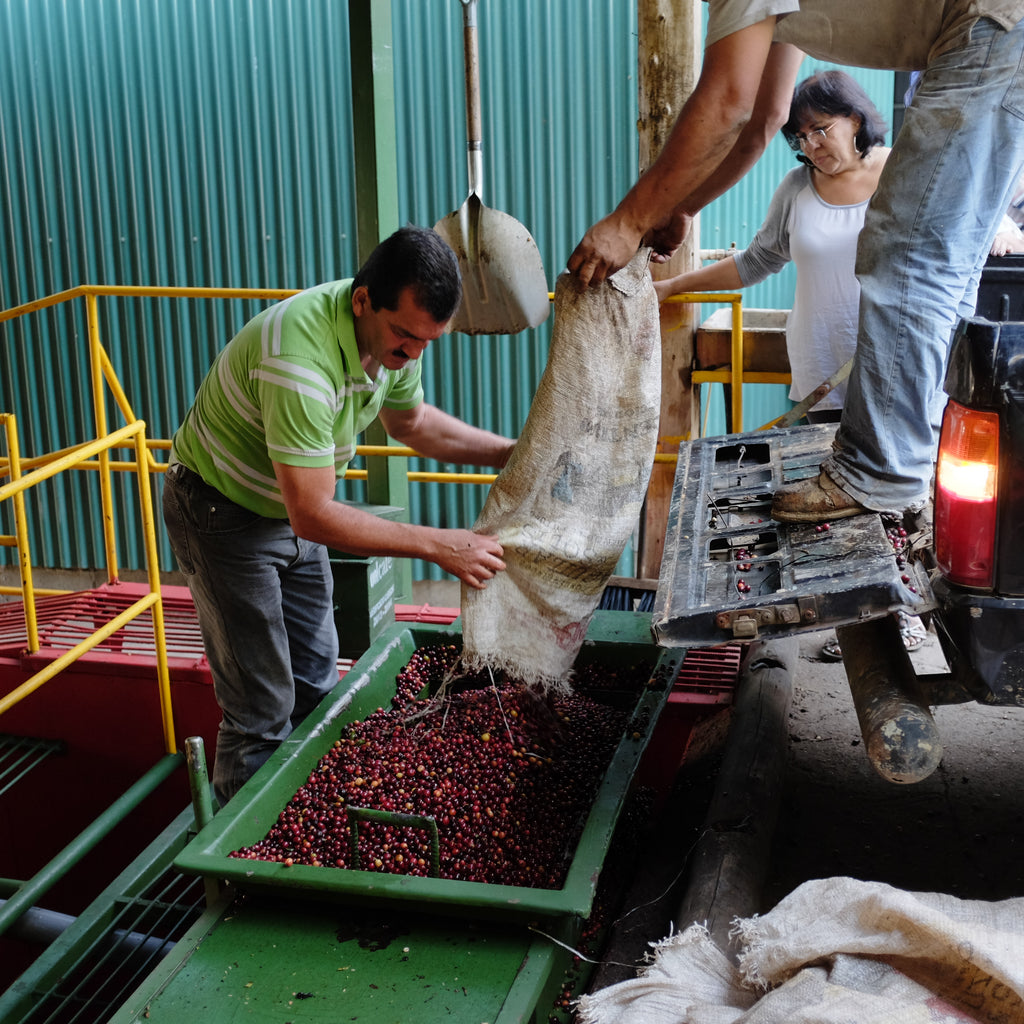 Is Detour coffee Fair Trade?
