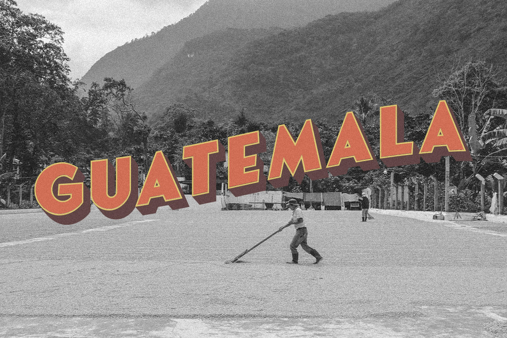 Guatemala: a coffee rough guide