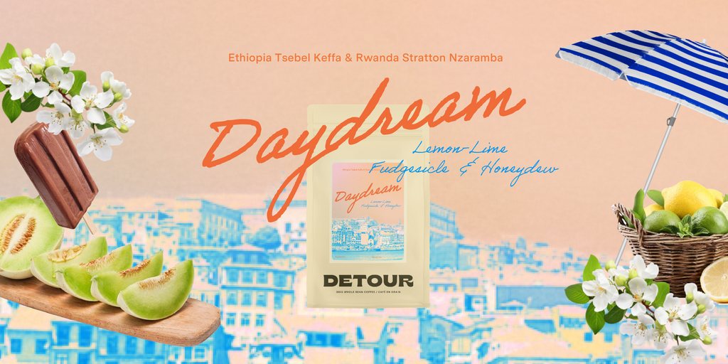 Detour Coffee Daydream Limited Summer Blend Whole Bean Specialty Coffee 