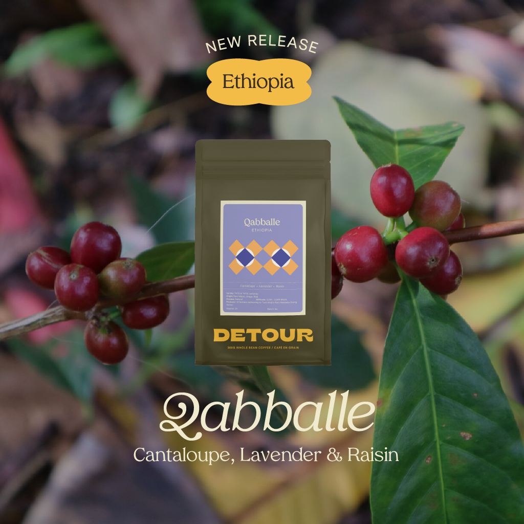 Detour Coffee Ethiopia Qabballe Natural Single Origin Whole bean specialty coffee