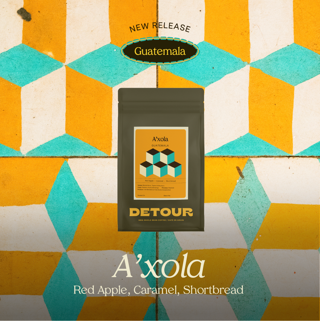 Detour Coffee Guatemala A'xola Single Origin Whole bean specialty coffee