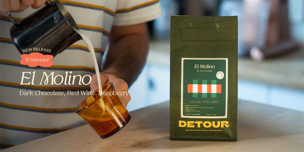 Detour Coffee Single Origin El Salvador El Molino Natural Espresso Whole Bean Specialty Coffee