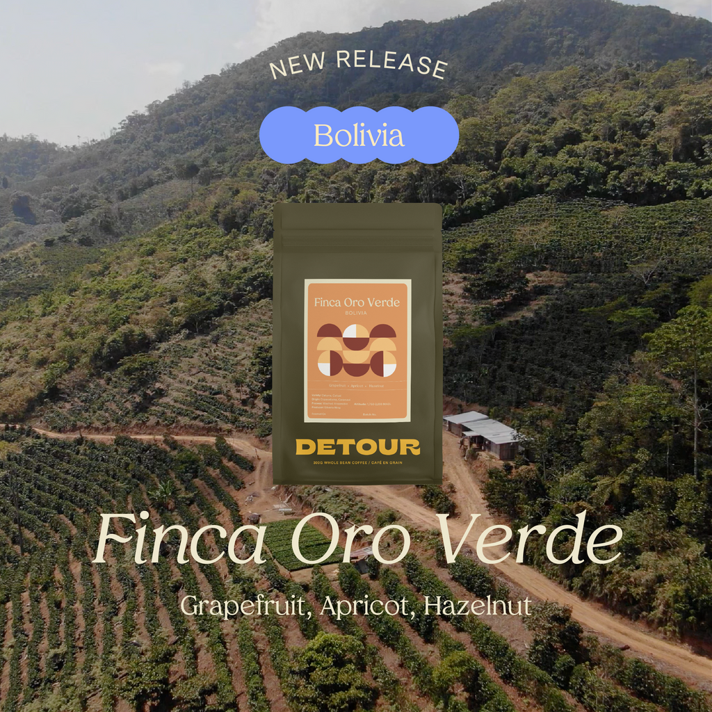 Detour Coffee Bolivia Finca Oro Verde Single Origin Whole bean specialty coffee