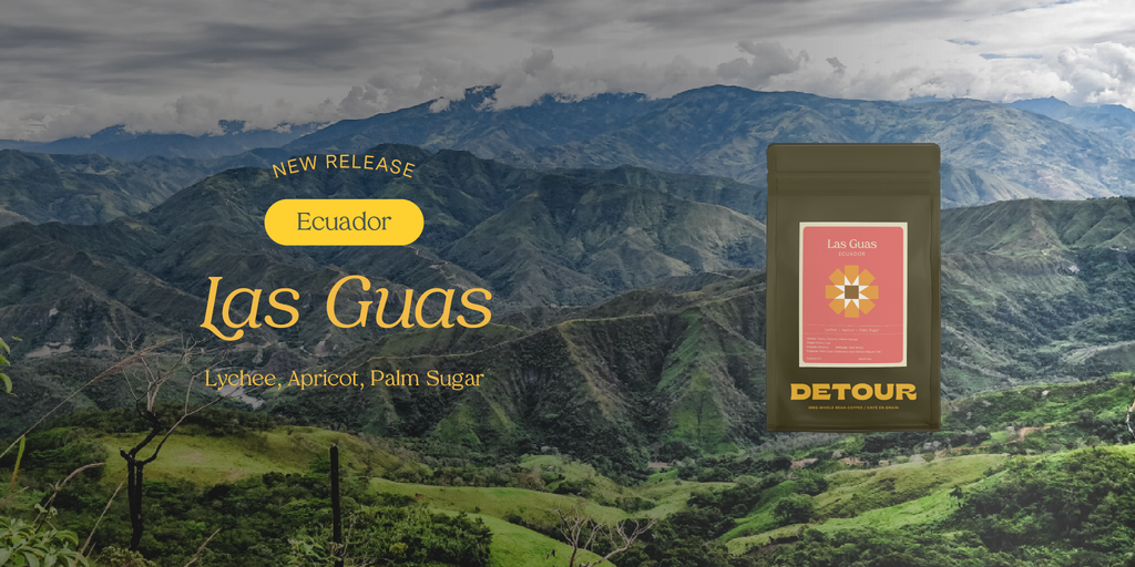 Detour Coffee Single Origin Ecuador Las Guas Whole Bean Specialty Coffee