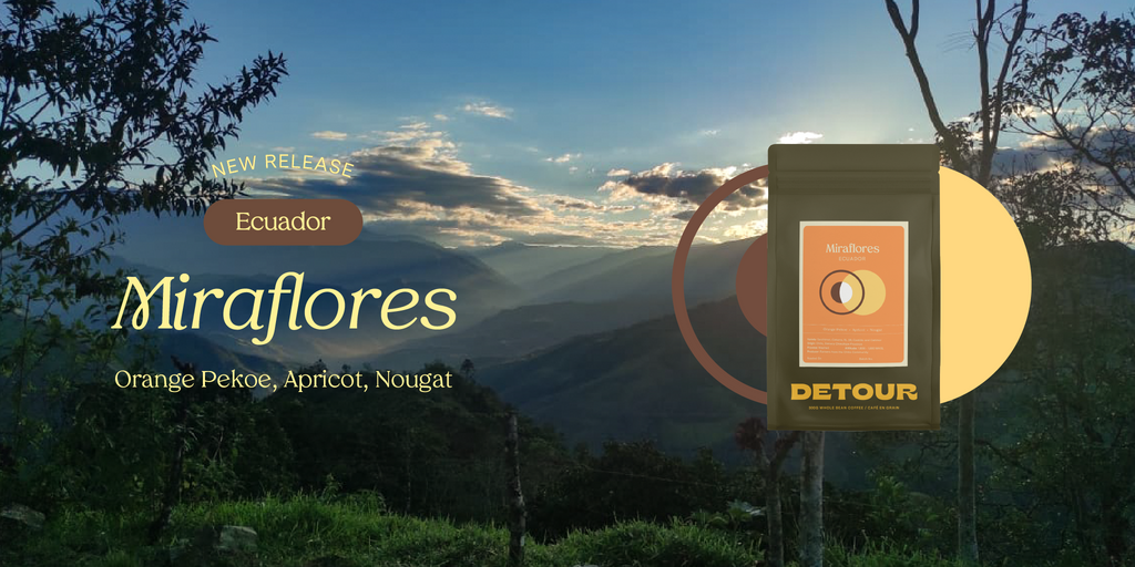 Detour Coffee Ecuador Miraflores Single Origin Whole Bean Specialty Coffee