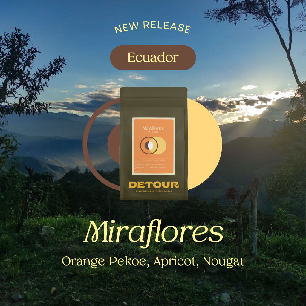 Detour Coffee Ecuador Miraflores Single Origin Whole Bean Specialty Coffee