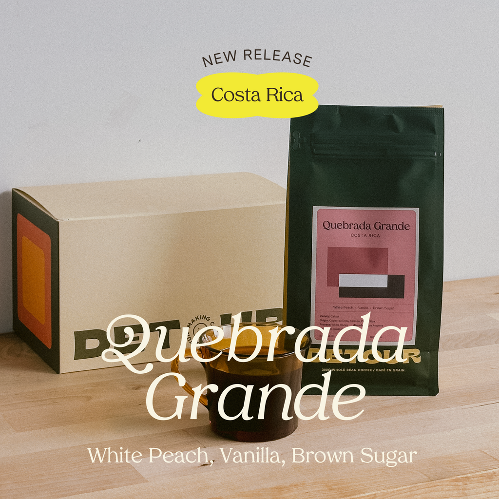 Detour Coffee Single Origin Costa Rica Quebrada Grande Whole Bean Specialty Coffee