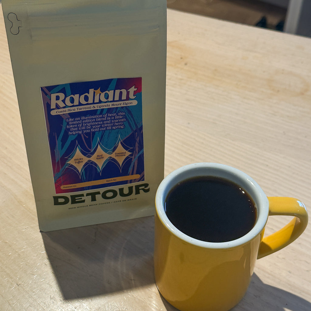 Radiant Winter Blend Costa Rican Ugandan Whole Bean Specialty Coffee 