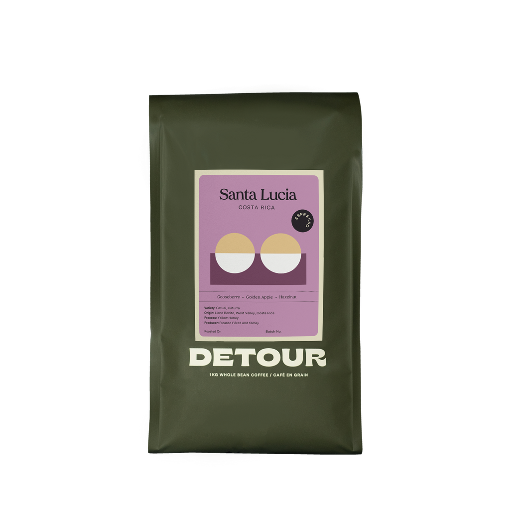 Detour Coffee single origin Costa Rica Santa Lucia Espresso Whole Bean specialty coffee bulk
