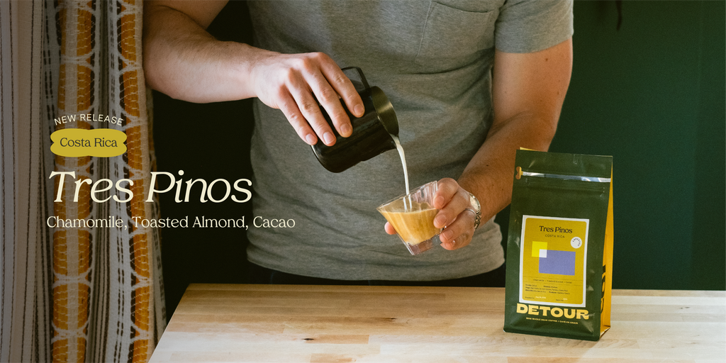 Detour Coffee Single Origin Coffee Costa Rica Tres Pinos Espresso Whole Bean Specialty Coffee
