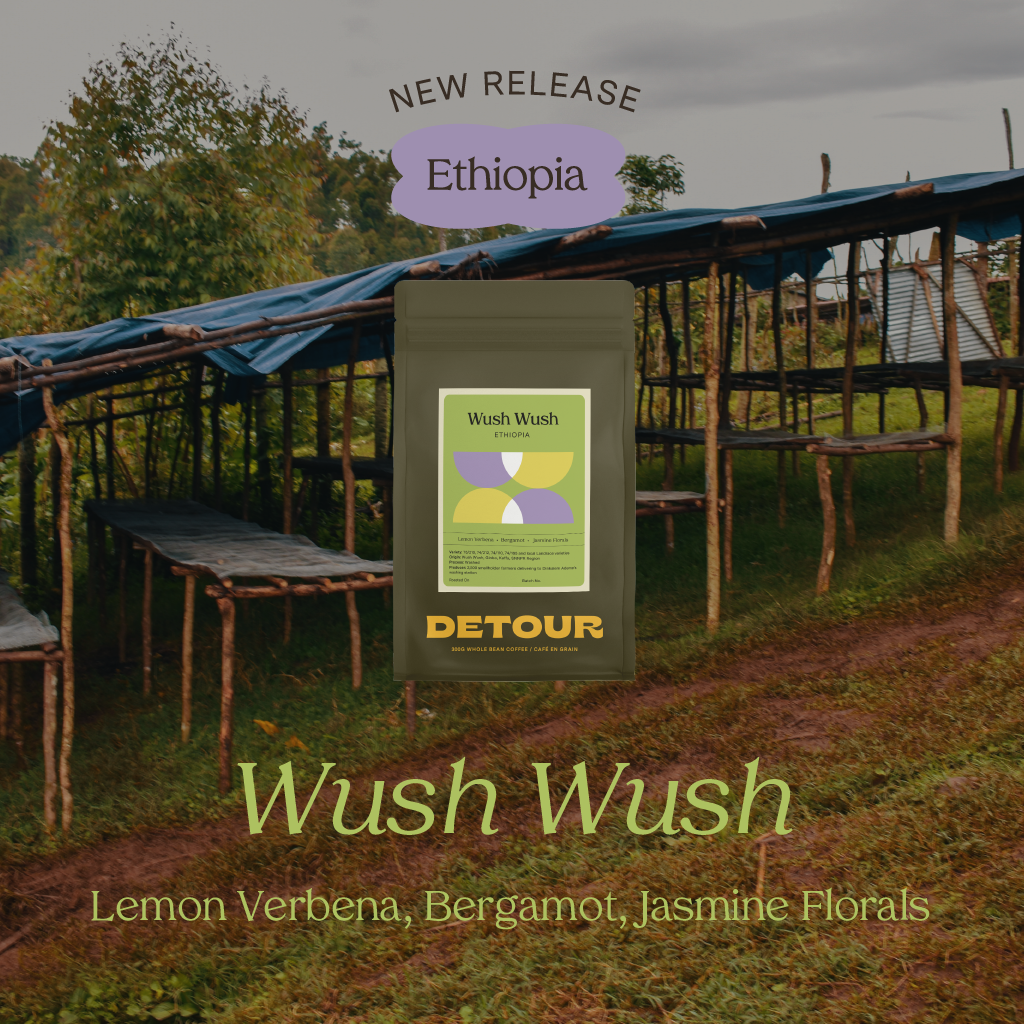 Detour Coffee Single Origin Ethiopia Wush Wush Whole Bean Specialty Coffee