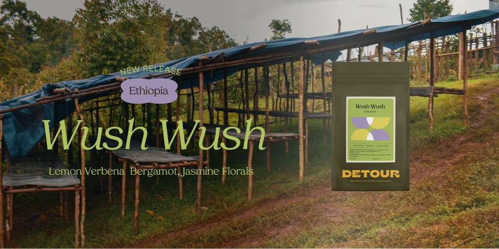 Detour Coffee Single Origin Ethiopia Wush Wush Whole Bean Specialty Coffee