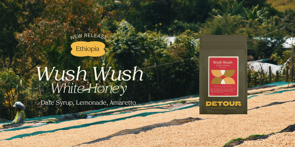 Detour Coffee Single Origin Ethiopia Wush Wush White Honey Whole Bean Specialty Coffee